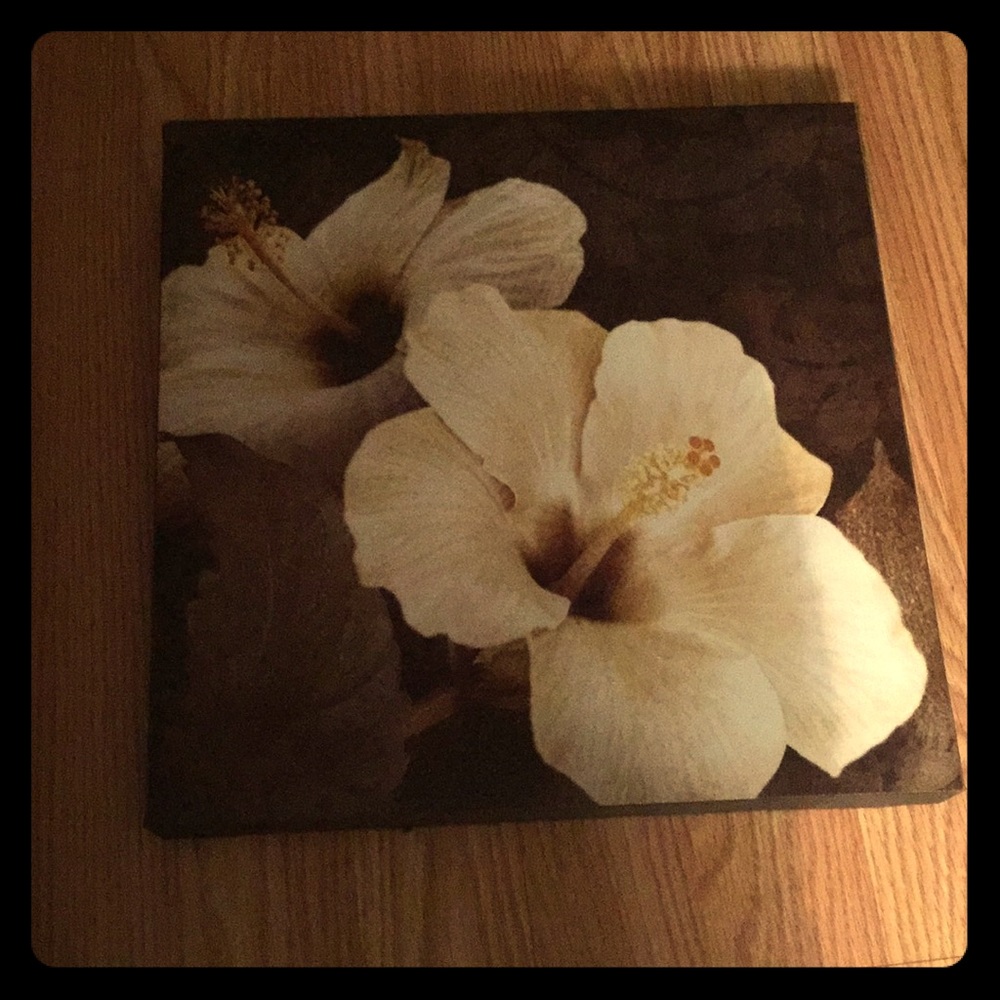 Hibiscus painting